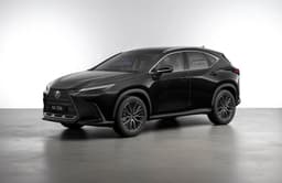 Lexus Nx Color Graphite Black Glass Flake